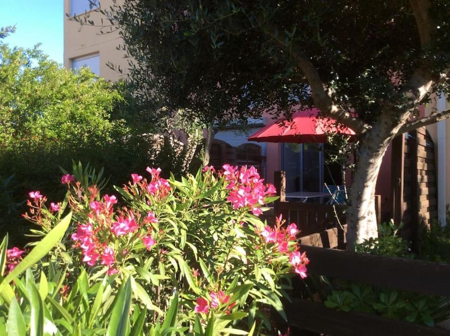 Cap Agde Studio-Cabine Jardin Clos, Port Et Plage Buitenkant foto